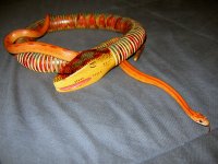 IMG_4055.jpg