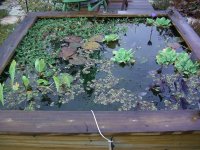 November 2008 003_800.jpg