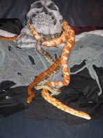 zoo members 259.jpg