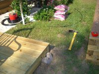 Pond Day_06 004.jpg
