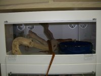 Cages 027_600.jpg