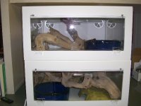 Cages 030_600.jpg