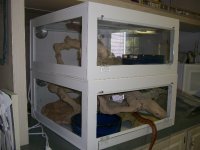 Cages 039_600.jpg