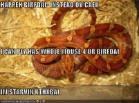 happehbirfdai128454022730000000.jpg