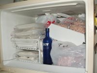 041207 freezer.JPG
