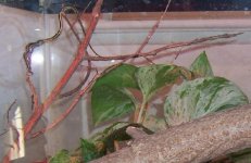 100_2154.jpg