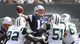 brady1.jpg