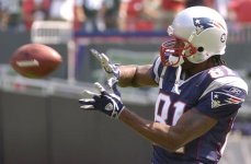 Moss1.jpg