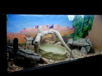 snake_004.jpg