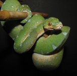 Jayden 11-16-08 a-.jpg