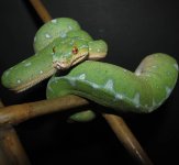 Jayden 11-16-08 b.jpg