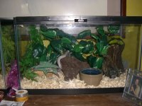 Noah's Viv 001_800.jpg