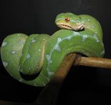 Jayden 11-16-08 b-.jpg