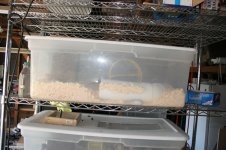 IMG_5199.jpg