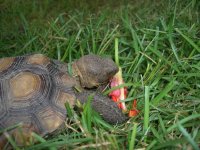 Butters Feasts_800.jpg