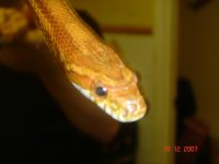 DSC04211.JPG