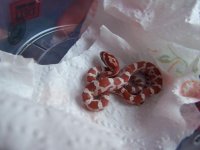 number 3.jpg