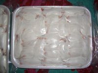 Mice 002_800.jpg