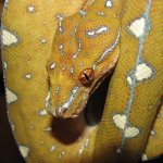 GTP-J 10-06-08 a-.jpg