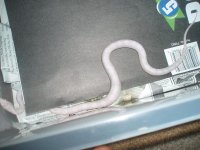 PC230001.JPG