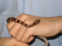 IMG_0644small.jpg