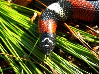 Zee 08_2008 014_800.jpg