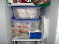 Freezer 002.jpg