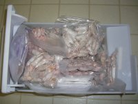 Freezer 004.jpg