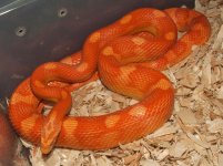 111706 melbourne (2).JPG