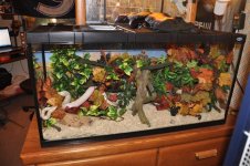 november13 111 (Small).jpg