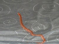 S5030092.jpg