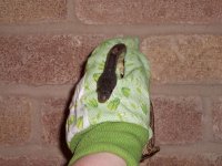 100_1602.JPG