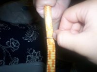 snakes 003.jpg