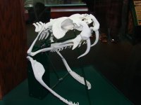 Dsc00572.jpg