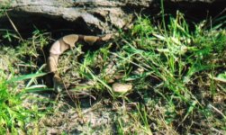 08-25-2007 01;41;50PM.JPG