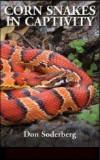 cornsnakesincaptivity_feature2.jpg