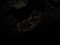 Dsc00611.jpg