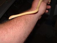 mic. 022 (Small).jpg