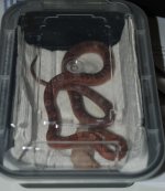 biteclubDSC_2375.jpg