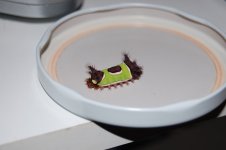 DSC_0089.JPG