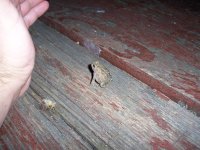 100_1235.jpg