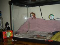 1-1-07.jpg