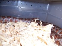 100_1626.jpg