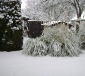 DSC00770.JPG