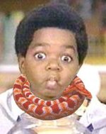gary-coleman-250x313.jpg
