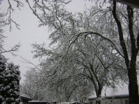 DSC00771.JPG