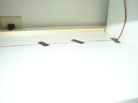 P1010001_1.jpg