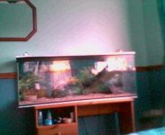 stella's new home.jpg