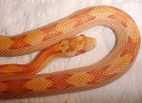 stretch 3 14 04.jpg