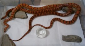 HPIM0949.JPG